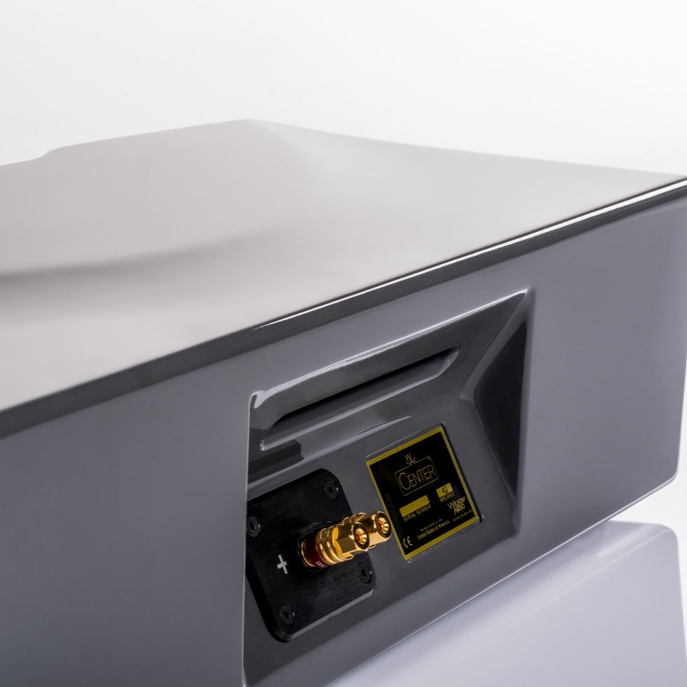 Wilson Audio WSAE Center Speaker