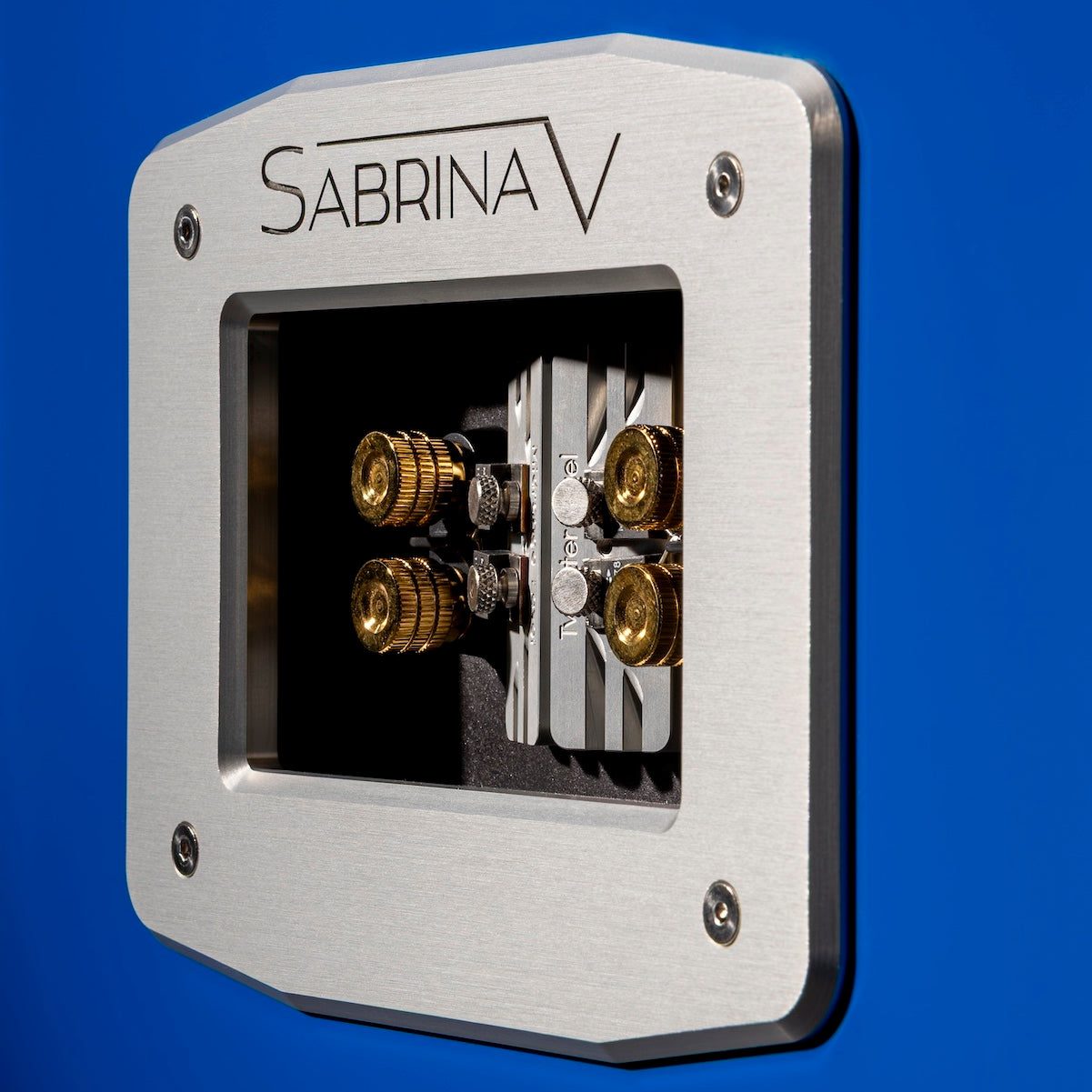 Wilson Audio Sabrina V Loudspeaker