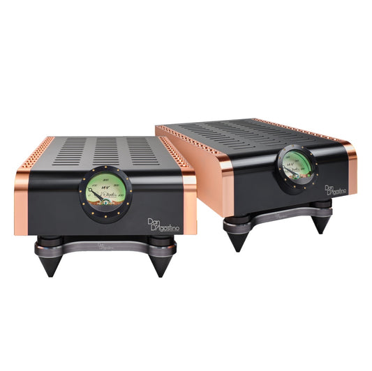 Dan D'Agostino Momentum M400 MxV Mono Amplifier