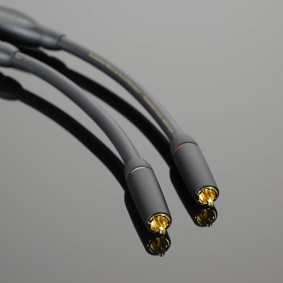 transparent_PlusPhonoInterconncet_connector