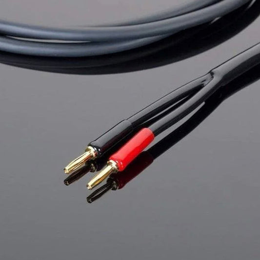 Transparent Hardwired Speaker Cables