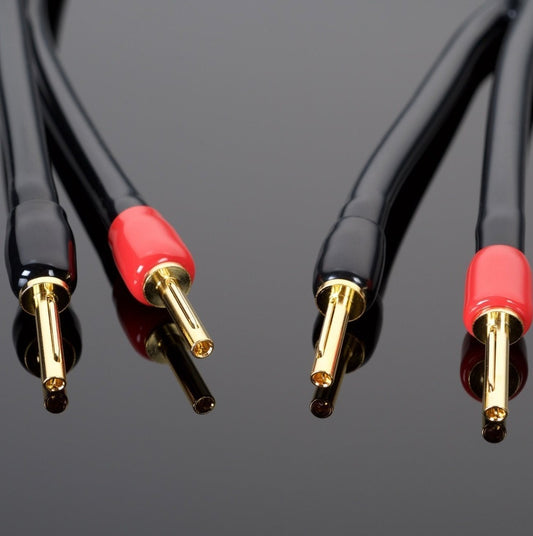 Transparent The Wave Speaker Cables