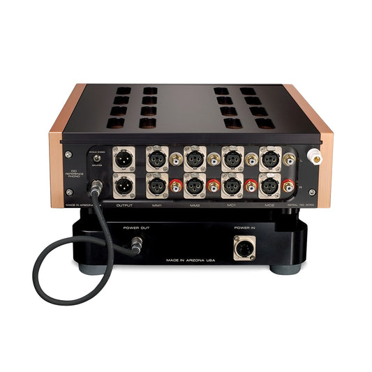 Dan D'Agostino Momentum Phono Amplifier