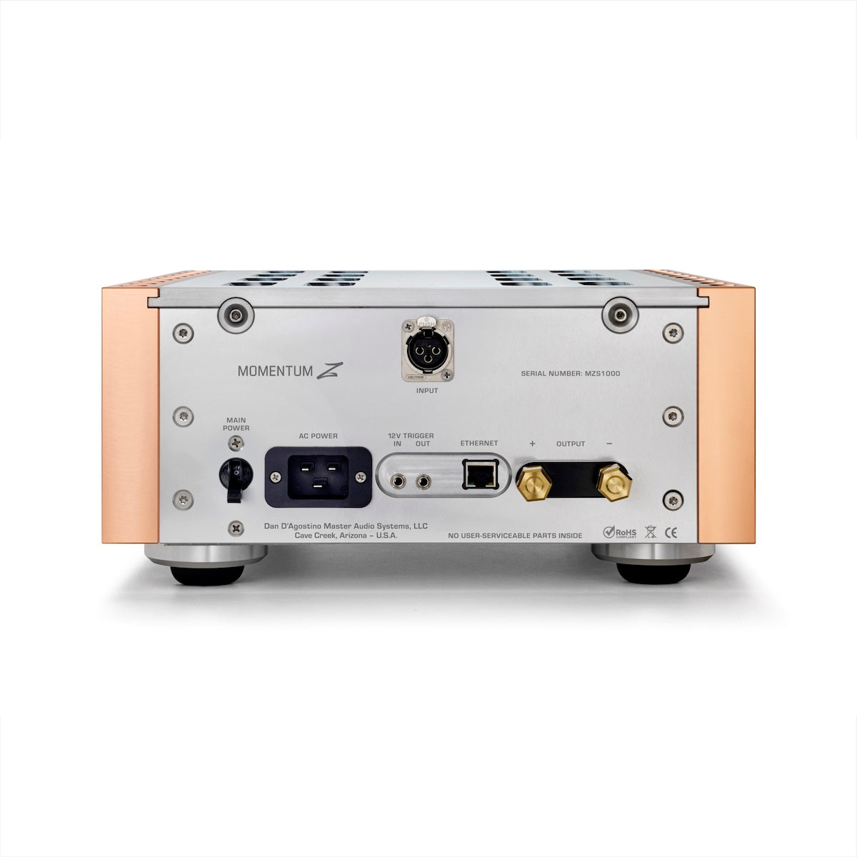 Dan D'Agostino Momentum Z Mono Amplifier – Tweak Technologies