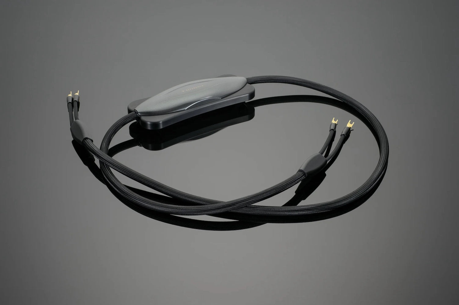 transparent_Refspeakercable_fullcable