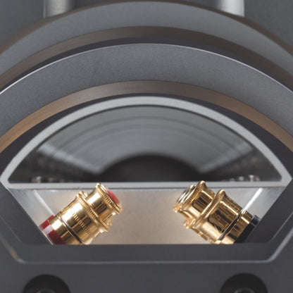 Audiovector R11 Arreté Speakers