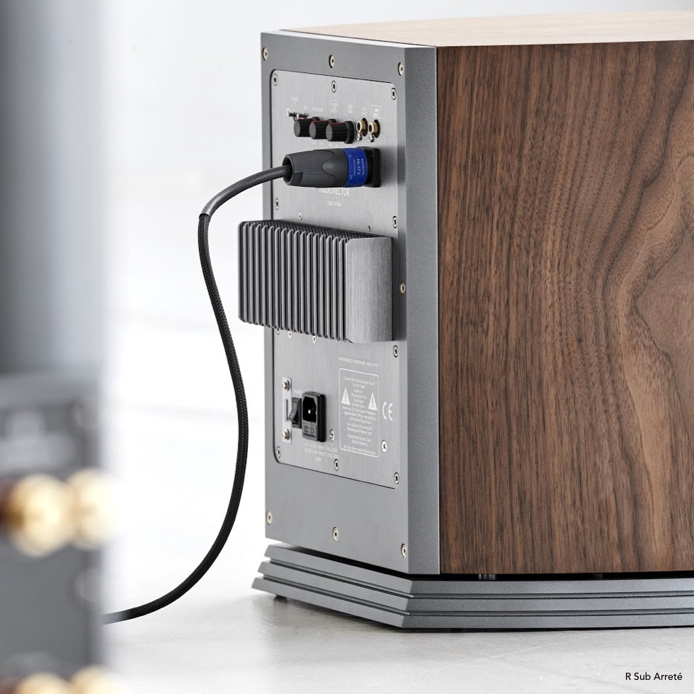 Audiovector R Sub Arreté Subwoofer